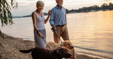 6 Low-Stress Side Hustles for Soon-to-Be Retirees