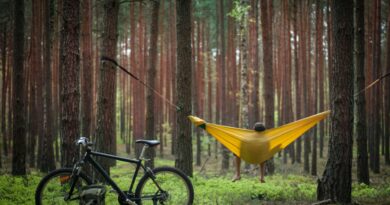 I Was 40 With Nothing Saved—Now I’m Retiring Early. Here Are the 11 Things I Did