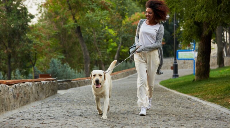 5 Legit Side Hustles for Introverts (No Uber Driving Required)